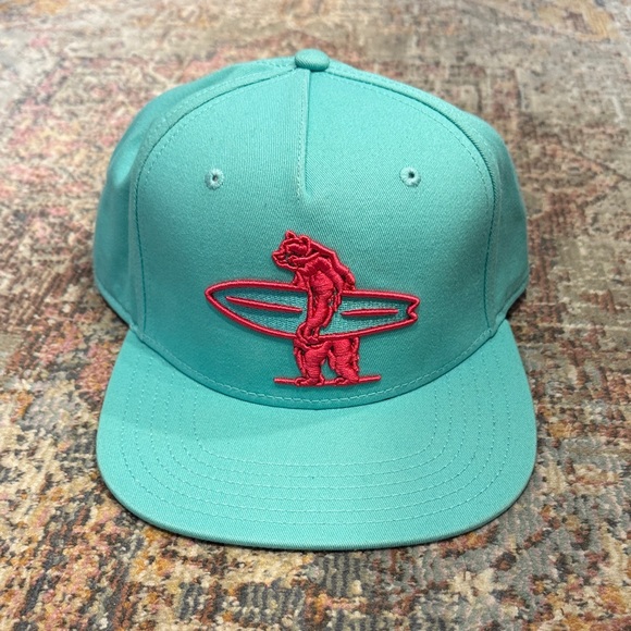 Mens Everyday California Brutus Connect Snapback Hat, Mint Green and Pink - Picture 4 of 6